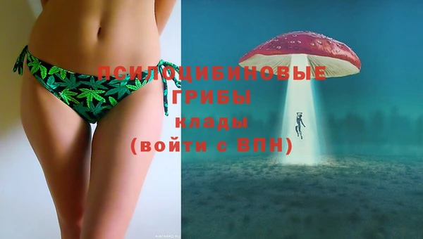 мяу мяу мука Гусь-Хрустальный