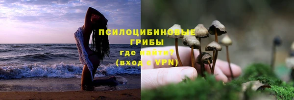 ALPHA PVP Гусев