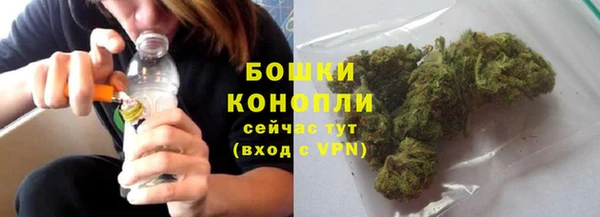 ALPHA PVP Гусев