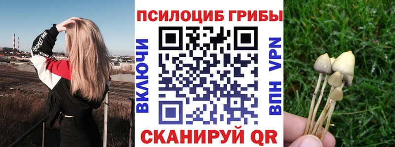 Купить закладки  Катав-Ивановск  Галлюциногенные грибы Magic Shrooms 